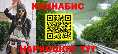 прущие крисы Гатчина