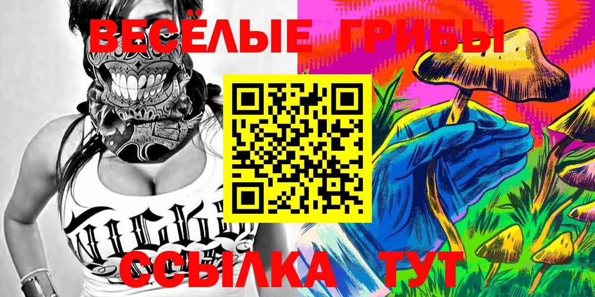 закладка  Галлюциногенные грибы Magic Shrooms  Вход с VPN  Псилоцибиновые грибы Cubensis  Михайловка 